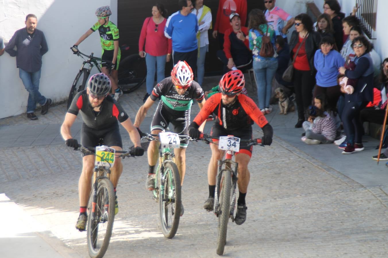 Sensacional jornada en torno al deporte del ciclismo la vivida este domingo, 10 de marzo, en Jerez de los Caballeros con la celebración del VII Maratón templario organizado por el Club ciclista de esta ciudad, con el que se ha dado continuidad a un Open de España de Maratón, que arrancó hace un mes con la VI Vuelta a Córdoba BTT.Miguel Muñoz y Lara Lois, acudían como líderes en la categoría élite tras ser los mejores en la primera cita y en esta prueba, han finalizado cuarto y primera de la general, respectivamente. José Márquez Granado (Quillo Márquez) ha sido el vencedor de la Maratón con un recorrido de 83 kilómetros por el bello entorno de dehesas de Jerez y la comarcar suroeste de Extremadura y con más de 2.000 metros de desnivel acumulado; seguido de Alejandro Díaz de la Peña y José Luis Carrasco Gámez. Agnieta Francke ha sido segunda de la general. En cuanto a los locales, Rafael García Barragán ha sido el primer jerezano de la Maratón en llegar a meta seguido de Ramón Pérez Guerrero y José Ángel González Pérez.El vencedor de la Ruta cicloturista, de 50 kilómetros, ha sido Alberto Cuevas Sánchez, seguido de Antonio Linares Paredes y Pablo Alpiste Quijada.