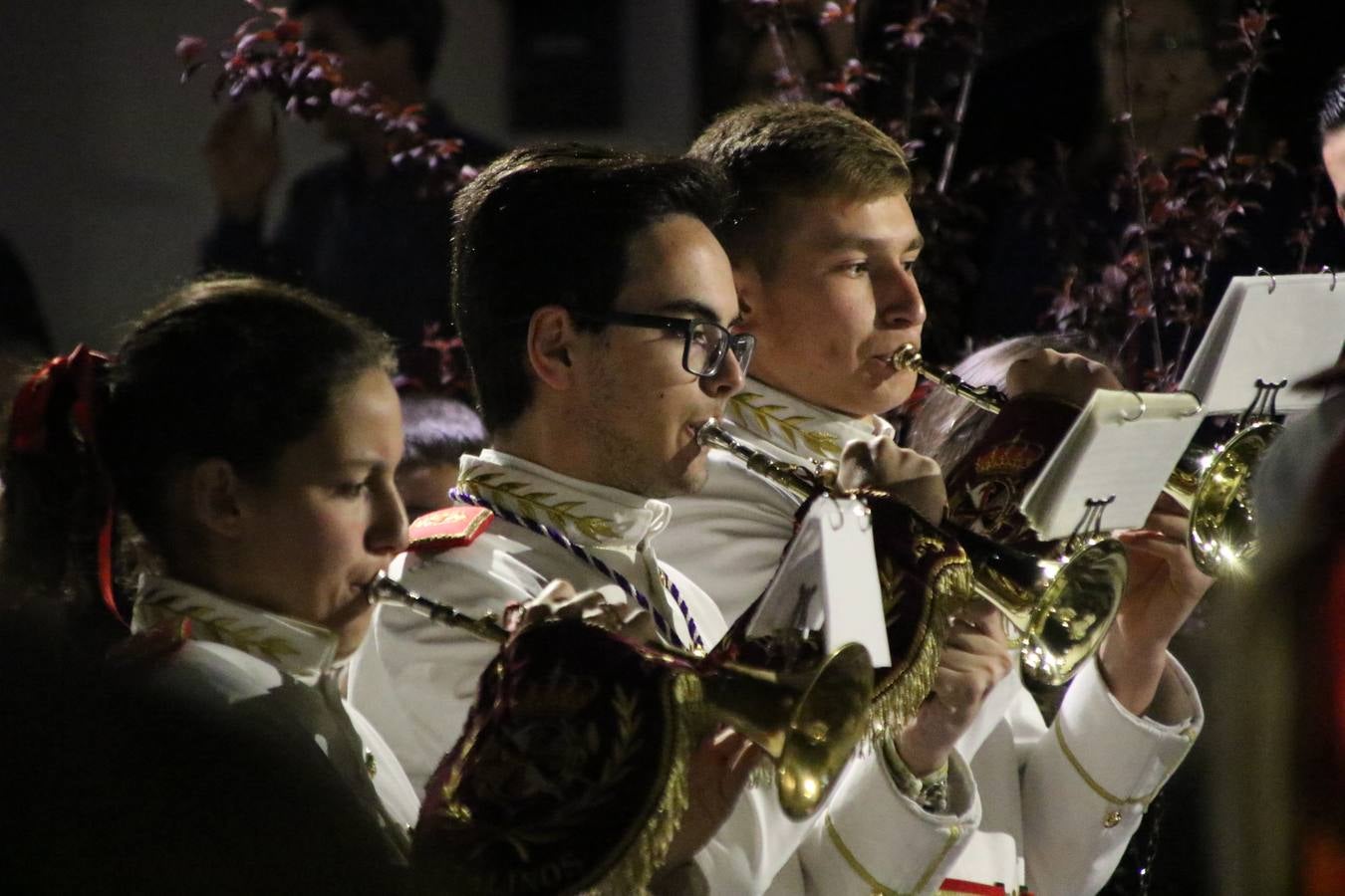 La Banda de Cornetas y Tambores 'Nuestra Señora del Rosario' (Los Catalinos) de Jerez de los Caballeros ofreció, ayer, un concierto en el Llano de los Mártires. La cita se enmarca en los actos organizados por la Pontificia y Real Cofradía del Señor Coronado de Espinas, Santísimo Cristo de la Flagelación y María Santísima de la Amargura con motivo del 245 aniversario de su fundación.