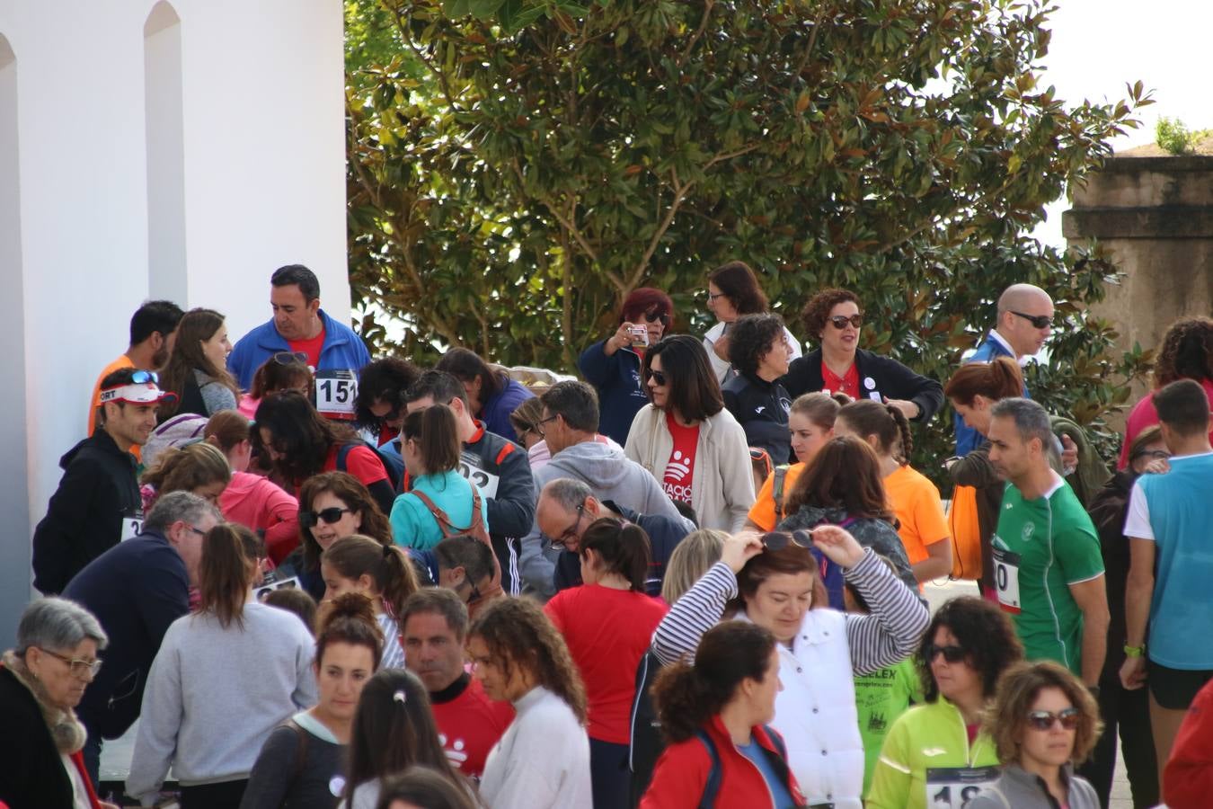Jerez de los Caballeros ha acogido, esta mañana, la 'I Carrera de la Mujer', enmarcada dentro del programa 'Mujer y Deporte' de la Diputación de Badajoz y bajo el lema 'Nuestra meta, la igualdad'. Más de 300 personas, de todas las edades, se han dado cita en la Plaza de la Alcazaba y han recorrido las calles del municipio en una jornada que ha aunado deporte, solidaridad y reivindicación.