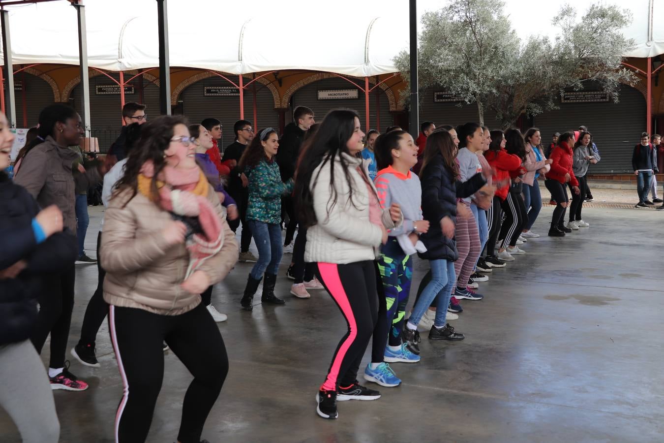 El Instituto de Enseñanza Secundaria El Pomar de Jerez de los Caballeros ha celebrado una actividad trasnacional del Aprendizaje en el marco del proyecto Erasmus+ que viene desarrollando desde el curso pasado junto con el centro portugués de la Escola Vila Verde de Braga. El recinto ferial de la localidad templaria fue el escenario de dicha actividad que se abrió, especialmente a la convivencia entre alumnos de ambos centros, a través de charlas, juegos, talleres y actividades culturales. 