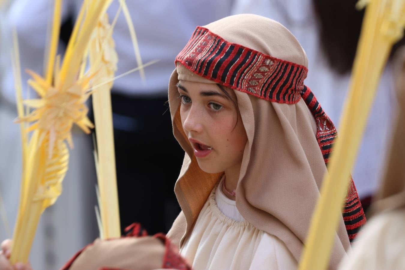 Jerez de los Caballeros vivió, ayer, sus primeros pálpitos de alegría y emoción al paso de 'La Borriquita' y 'Nuestra Señora del Rosario'. La Cofradía de 'Santo Domingo de Guzmán y Nuestra Señora del Rosario' fue la encargada de abrir los desfiles procesionales de la Semana de Pasión jerezana, convirtiéndose, así, en la primera cofradía en aunar fervor y devoción por las calles del municipio.