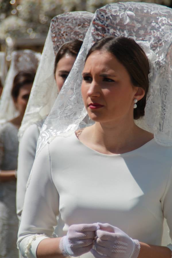 La luz y el gozo han puesto un gran broche a una Semana Santa, aciaga en sus momentos más intensos, a causa del mal tiempo que desde la noche del Miércoles y hasta el Viernes Santo trastocó en buena medida su desarrollo.Hoy el sol ha lucido en el cielo que como, cada Domingo de Resurrección, ha servido de Palio al hermoso Paso de la Virgen del Rosario, haciendo resplandecer, al tiempo, el momento culmen de esta celebración, el reencuentro en la Madre y el Hijo en la Fuente de los Santos, abarrotada de público. El momento ha sido emocionante, con los costaleros de la virgen y del Paso del Resucitado subiendo los brazos al cielo para representar el abrazo de ambas imágenes, ante la tradicional suelta de globos de ecolores y el estrépito de cornetas y tambores.La procesión ha seguido su curso hacia la Plaza de España, también muy concurrida, siendo en este escenario donde, miembros de Grupo Joven de la Cofradía del Coronado han regalado una petalada a la Virgen del Rosario. Ha sido un ofecimiento de la citada Cofradía que la noche del pasado Jueves no pudo obsequiar a su Virgen de la Amargura con esta lluvia de pétalos de rosas, a causa del mal tiempo.Así ha terminado la Semana Santa, incompleta para varias cofradías. La parte más amarga la han vivido la Cofradía del Señor Ecce-Homo que vió acortado su recorrido el Miércoles en una noche desapacible. También la Archicofradía del Santísimo Sacramento que apenas pudo asomarse a la calle y vió concentradas sus emociones en el templo patronal y la Cofradía del Señor Coronado de Espinas que también concentró el sentimieno y la devoción en la ermita de los Santos Mártires, viviendo momenos íntimos de gran emotividad. La Hermandad de la Esperanza Macarena brilló, sin embargo, en la Madrugá jerezana y la Cofradía de Nuestro Padre Jesús Nazareno derrochó fervor la tarde del Viernes en el interior de la iglesia visigoda de Santa María.
