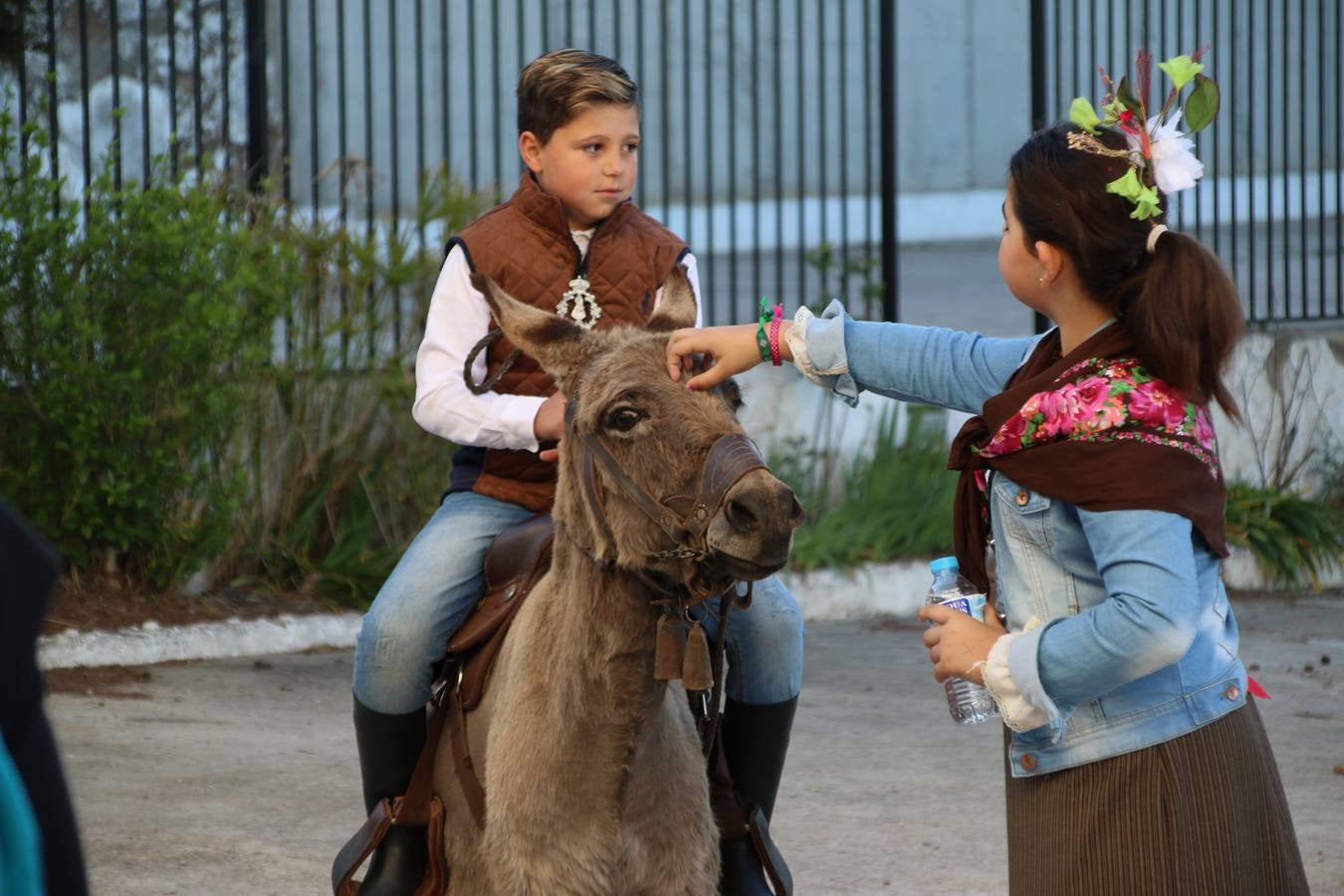 Romeros, carrozas y caballistas han acompañado, esta mañana, en procesión, al Simpecado de Nuestra Señora de Aguasantas, Patrona de Jerez de los Caballeros, hasta la ermita consagrada a su nombre. Durante el camino, no han faltado las perrunillas, la copa de anís, el acompañamiento musical del tamborilero de la Hermandad de La Algaba, Ramón Barragán, y los cánticos y bailes de algunos romeros. Un día de júbilo, convivencia y devoción a Nuestra Señora de Aguasantas que culminará, esta tarde, a las 20 horas, con el rezo del Santo Rosario en la citada ermita y el canto de la Salve a la Virgen.