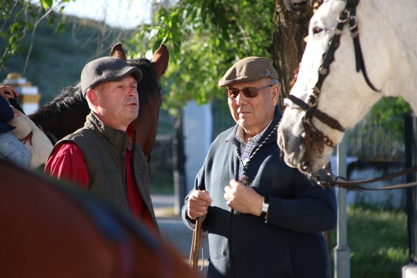 Romeros, carrozas y caballistas han acompañado, esta mañana, en procesión, al Simpecado de Nuestra Señora de Aguasantas, Patrona de Jerez de los Caballeros, hasta la ermita consagrada a su nombre. Durante el camino, no han faltado las perrunillas, la copa de anís, el acompañamiento musical del tamborilero de la Hermandad de La Algaba, Ramón Barragán, y los cánticos y bailes de algunos romeros. Un día de júbilo, convivencia y devoción a Nuestra Señora de Aguasantas que culminará, esta tarde, a las 20 horas, con el rezo del Santo Rosario en la citada ermita y el canto de la Salve a la Virgen.