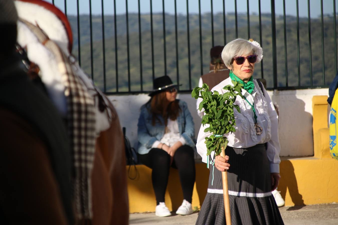 Romeros, carrozas y caballistas han acompañado, esta mañana, en procesión, al Simpecado de Nuestra Señora de Aguasantas, Patrona de Jerez de los Caballeros, hasta la ermita consagrada a su nombre. Durante el camino, no han faltado las perrunillas, la copa de anís, el acompañamiento musical del tamborilero de la Hermandad de La Algaba, Ramón Barragán, y los cánticos y bailes de algunos romeros. Un día de júbilo, convivencia y devoción a Nuestra Señora de Aguasantas que culminará, esta tarde, a las 20 horas, con el rezo del Santo Rosario en la citada ermita y el canto de la Salve a la Virgen.