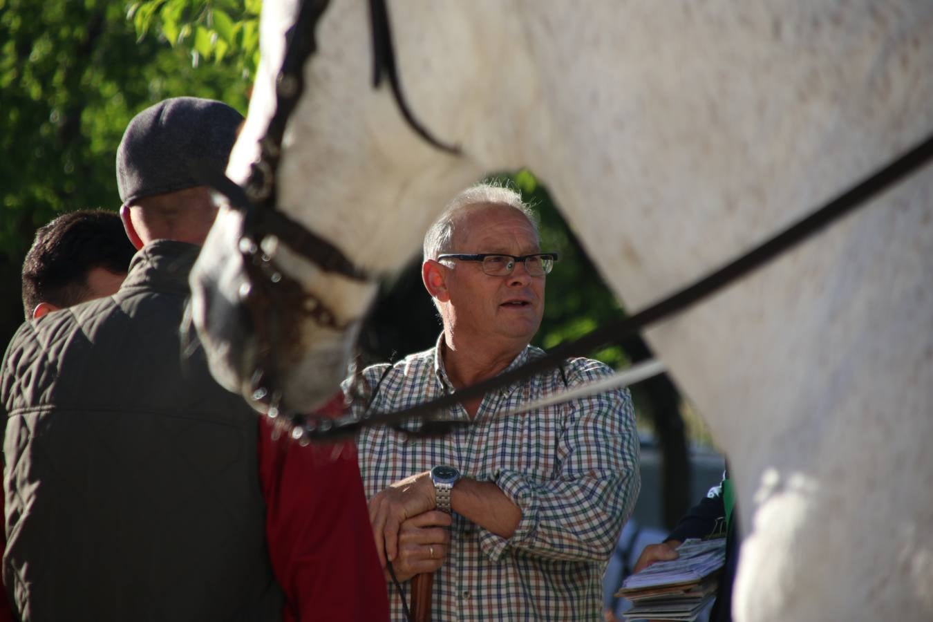 Romeros, carrozas y caballistas han acompañado, esta mañana, en procesión, al Simpecado de Nuestra Señora de Aguasantas, Patrona de Jerez de los Caballeros, hasta la ermita consagrada a su nombre. Durante el camino, no han faltado las perrunillas, la copa de anís, el acompañamiento musical del tamborilero de la Hermandad de La Algaba, Ramón Barragán, y los cánticos y bailes de algunos romeros. Un día de júbilo, convivencia y devoción a Nuestra Señora de Aguasantas que culminará, esta tarde, a las 20 horas, con el rezo del Santo Rosario en la citada ermita y el canto de la Salve a la Virgen.