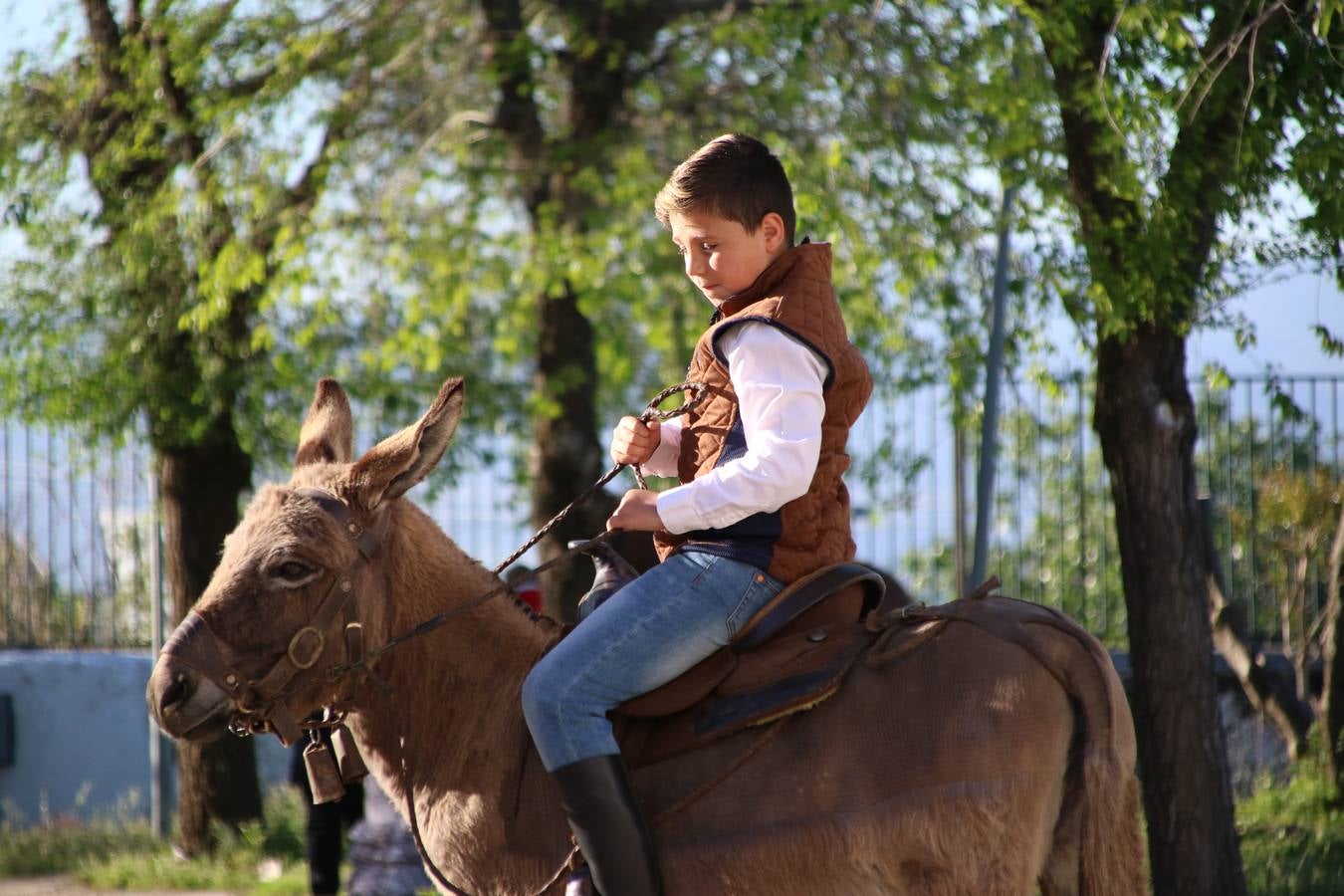 Romeros, carrozas y caballistas han acompañado, esta mañana, en procesión, al Simpecado de Nuestra Señora de Aguasantas, Patrona de Jerez de los Caballeros, hasta la ermita consagrada a su nombre. Durante el camino, no han faltado las perrunillas, la copa de anís, el acompañamiento musical del tamborilero de la Hermandad de La Algaba, Ramón Barragán, y los cánticos y bailes de algunos romeros. Un día de júbilo, convivencia y devoción a Nuestra Señora de Aguasantas que culminará, esta tarde, a las 20 horas, con el rezo del Santo Rosario en la citada ermita y el canto de la Salve a la Virgen.