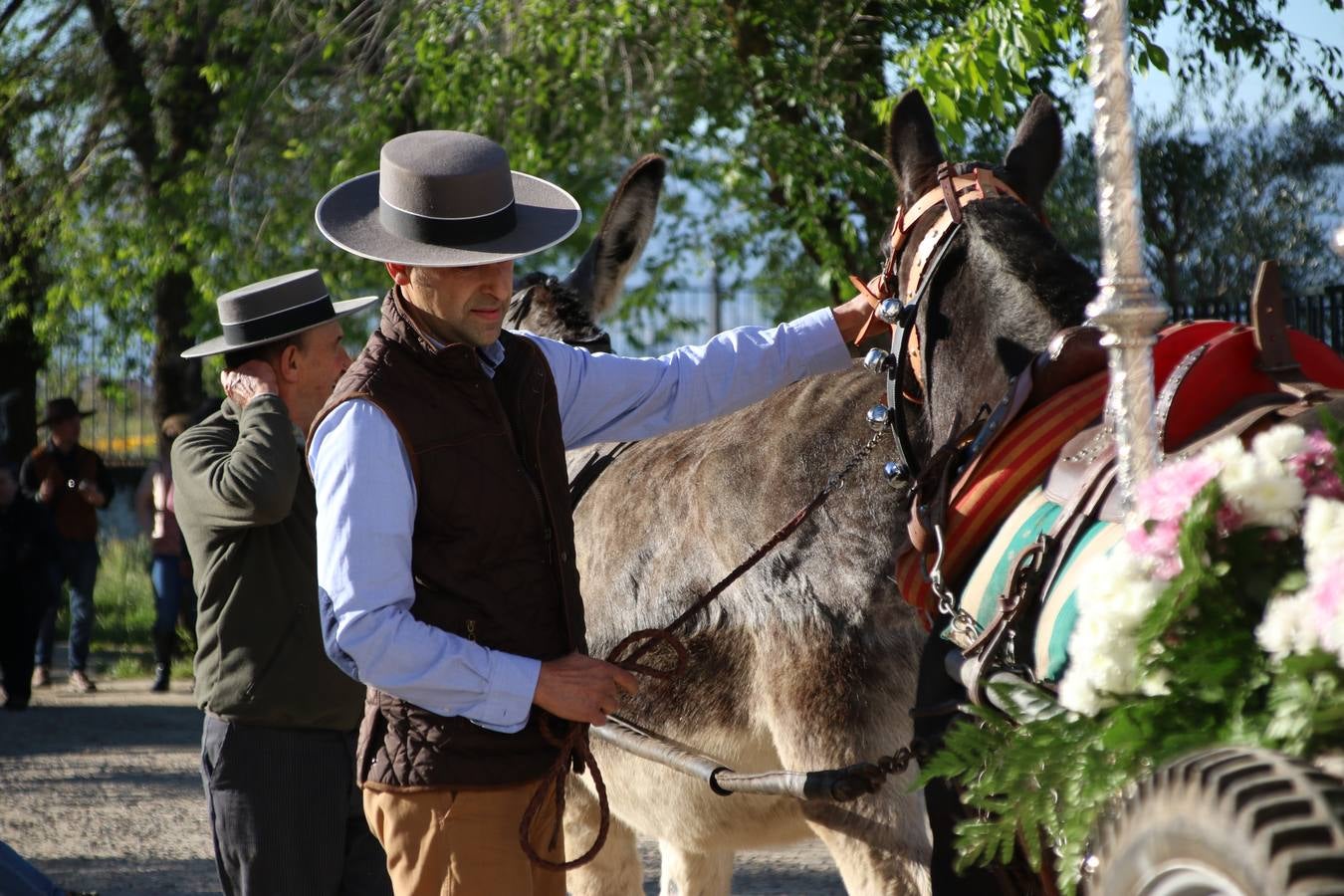 Romeros, carrozas y caballistas han acompañado, esta mañana, en procesión, al Simpecado de Nuestra Señora de Aguasantas, Patrona de Jerez de los Caballeros, hasta la ermita consagrada a su nombre. Durante el camino, no han faltado las perrunillas, la copa de anís, el acompañamiento musical del tamborilero de la Hermandad de La Algaba, Ramón Barragán, y los cánticos y bailes de algunos romeros. Un día de júbilo, convivencia y devoción a Nuestra Señora de Aguasantas que culminará, esta tarde, a las 20 horas, con el rezo del Santo Rosario en la citada ermita y el canto de la Salve a la Virgen.