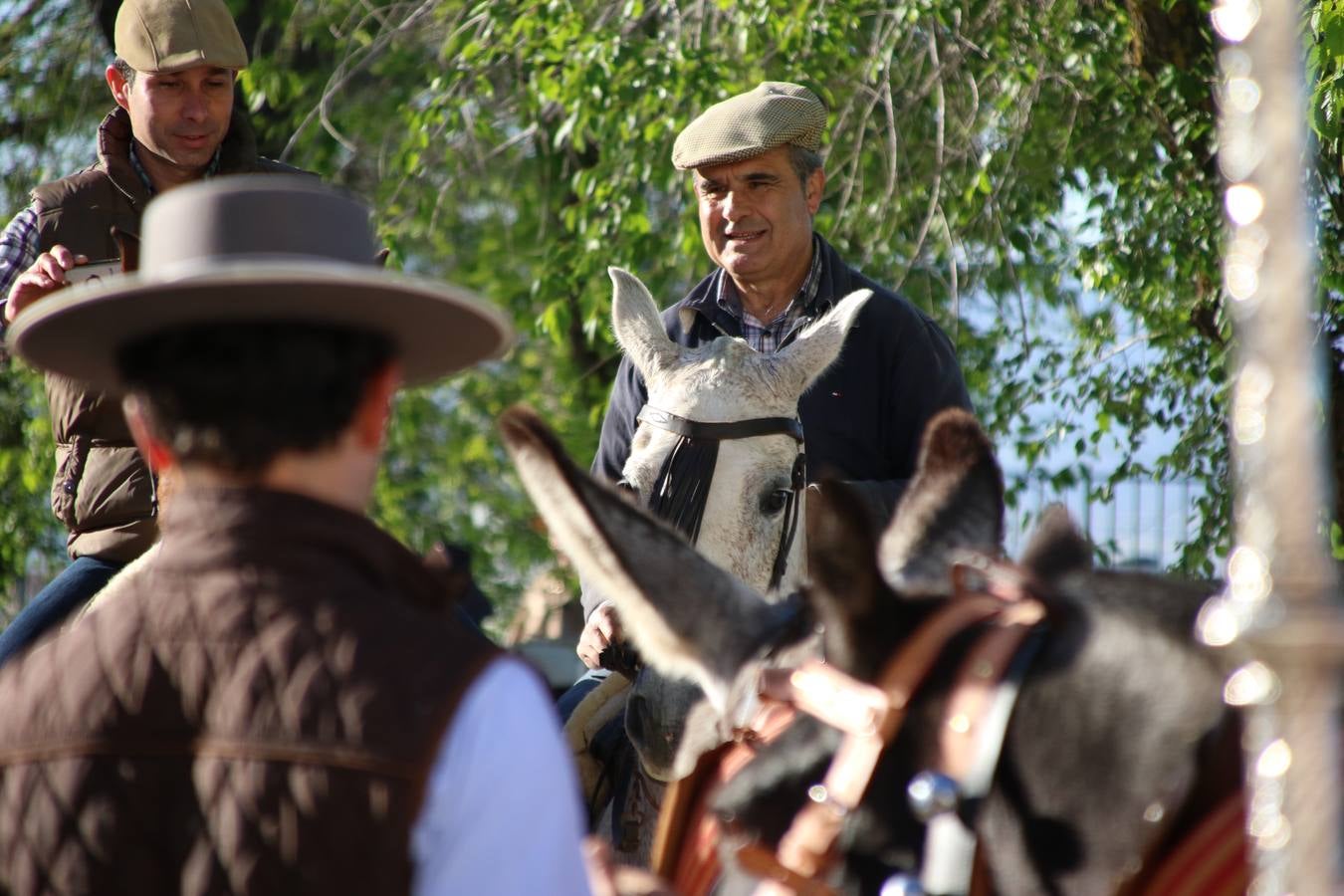 Romeros, carrozas y caballistas han acompañado, esta mañana, en procesión, al Simpecado de Nuestra Señora de Aguasantas, Patrona de Jerez de los Caballeros, hasta la ermita consagrada a su nombre. Durante el camino, no han faltado las perrunillas, la copa de anís, el acompañamiento musical del tamborilero de la Hermandad de La Algaba, Ramón Barragán, y los cánticos y bailes de algunos romeros. Un día de júbilo, convivencia y devoción a Nuestra Señora de Aguasantas que culminará, esta tarde, a las 20 horas, con el rezo del Santo Rosario en la citada ermita y el canto de la Salve a la Virgen.