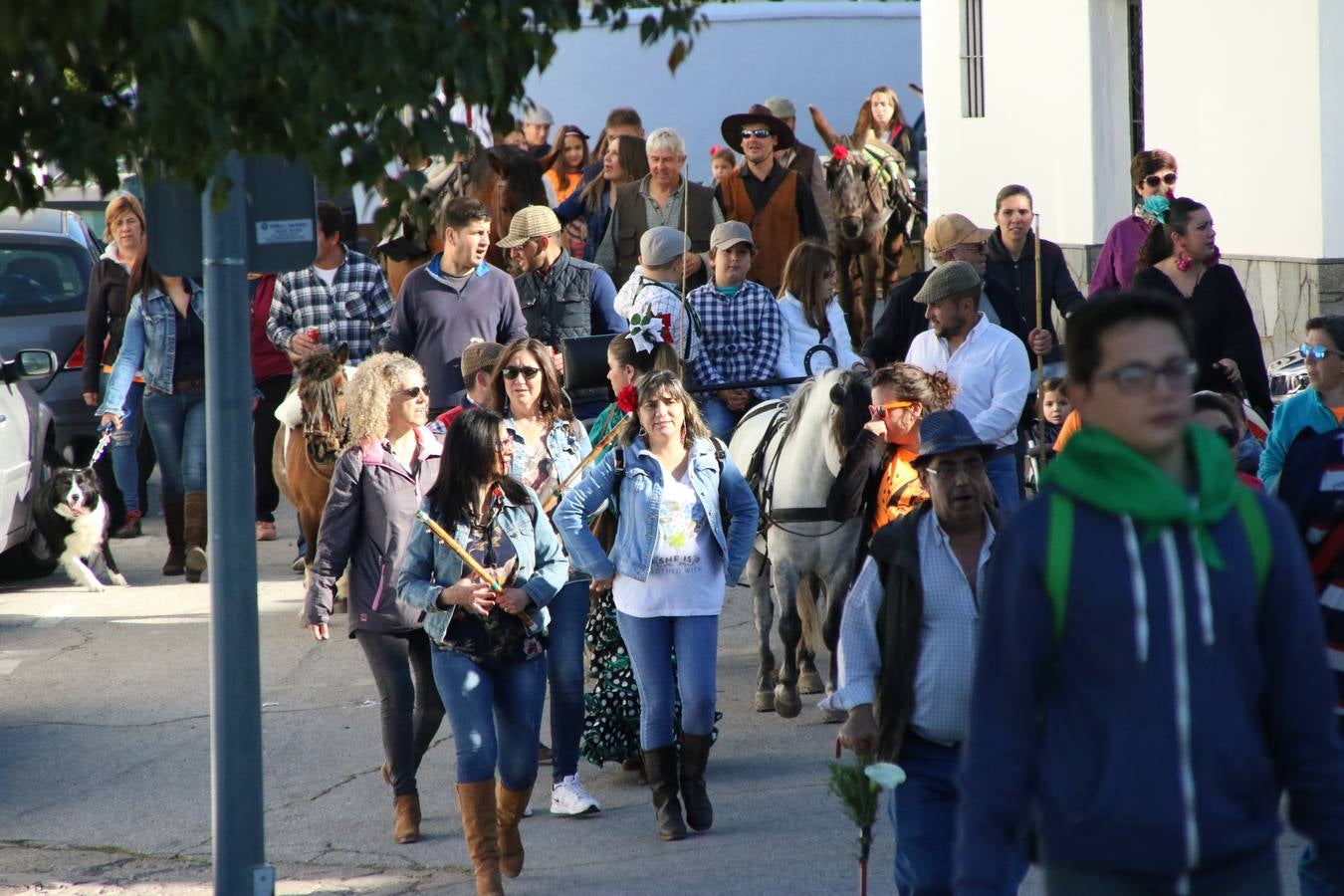 Romeros, carrozas y caballistas han acompañado, esta mañana, en procesión, al Simpecado de Nuestra Señora de Aguasantas, Patrona de Jerez de los Caballeros, hasta la ermita consagrada a su nombre. Durante el camino, no han faltado las perrunillas, la copa de anís, el acompañamiento musical del tamborilero de la Hermandad de La Algaba, Ramón Barragán, y los cánticos y bailes de algunos romeros. Un día de júbilo, convivencia y devoción a Nuestra Señora de Aguasantas que culminará, esta tarde, a las 20 horas, con el rezo del Santo Rosario en la citada ermita y el canto de la Salve a la Virgen.