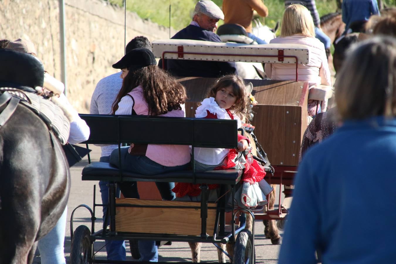 Romeros, carrozas y caballistas han acompañado, esta mañana, en procesión, al Simpecado de Nuestra Señora de Aguasantas, Patrona de Jerez de los Caballeros, hasta la ermita consagrada a su nombre. Durante el camino, no han faltado las perrunillas, la copa de anís, el acompañamiento musical del tamborilero de la Hermandad de La Algaba, Ramón Barragán, y los cánticos y bailes de algunos romeros. Un día de júbilo, convivencia y devoción a Nuestra Señora de Aguasantas que culminará, esta tarde, a las 20 horas, con el rezo del Santo Rosario en la citada ermita y el canto de la Salve a la Virgen.