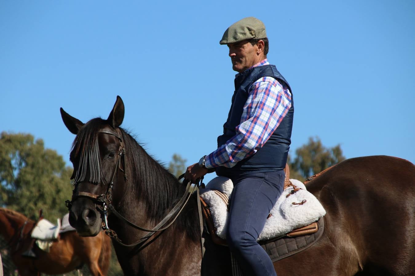 Romeros, carrozas y caballistas han acompañado, esta mañana, en procesión, al Simpecado de Nuestra Señora de Aguasantas, Patrona de Jerez de los Caballeros, hasta la ermita consagrada a su nombre. Durante el camino, no han faltado las perrunillas, la copa de anís, el acompañamiento musical del tamborilero de la Hermandad de La Algaba, Ramón Barragán, y los cánticos y bailes de algunos romeros. Un día de júbilo, convivencia y devoción a Nuestra Señora de Aguasantas que culminará, esta tarde, a las 20 horas, con el rezo del Santo Rosario en la citada ermita y el canto de la Salve a la Virgen.