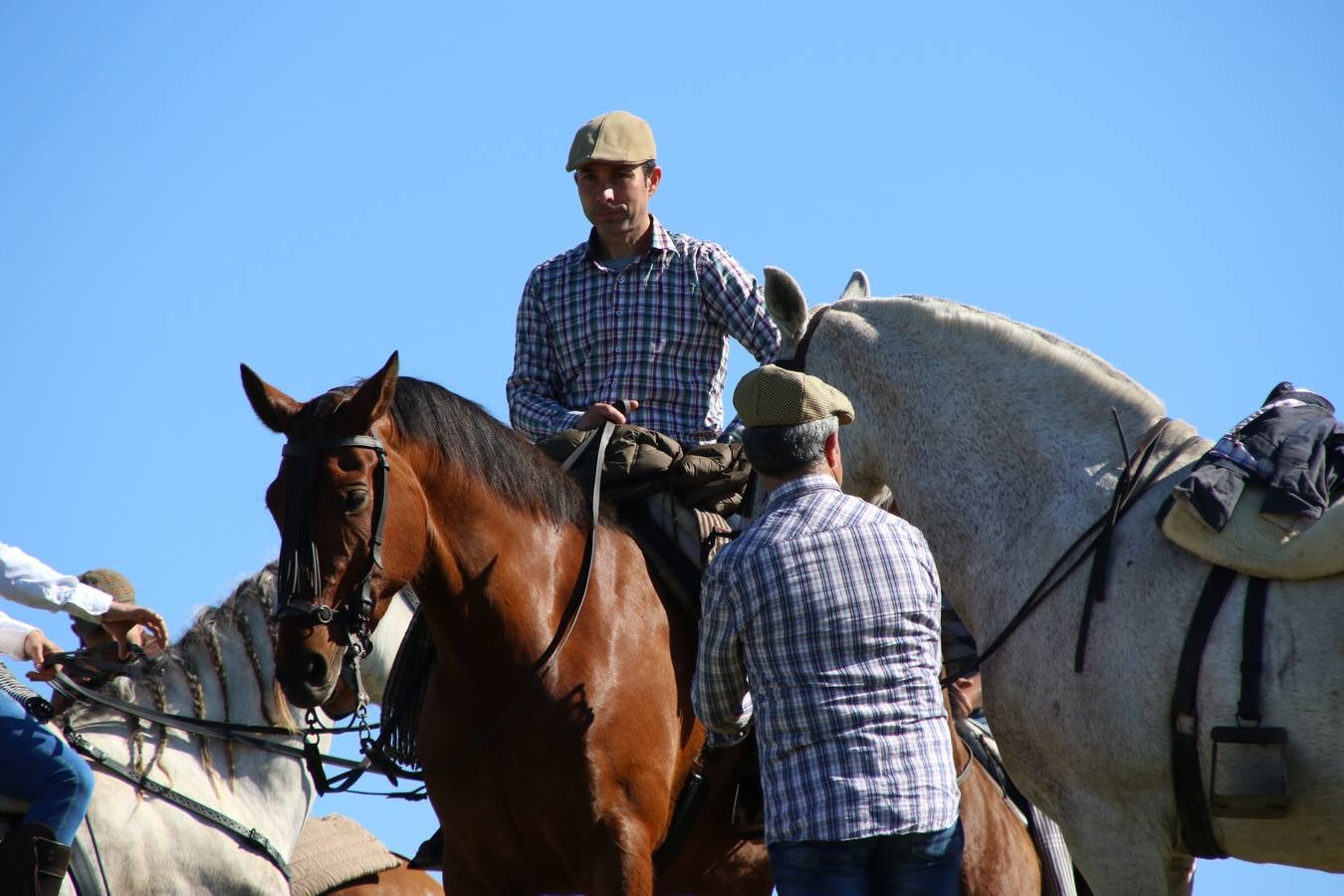 Romeros, carrozas y caballistas han acompañado, esta mañana, en procesión, al Simpecado de Nuestra Señora de Aguasantas, Patrona de Jerez de los Caballeros, hasta la ermita consagrada a su nombre. Durante el camino, no han faltado las perrunillas, la copa de anís, el acompañamiento musical del tamborilero de la Hermandad de La Algaba, Ramón Barragán, y los cánticos y bailes de algunos romeros. Un día de júbilo, convivencia y devoción a Nuestra Señora de Aguasantas que culminará, esta tarde, a las 20 horas, con el rezo del Santo Rosario en la citada ermita y el canto de la Salve a la Virgen.