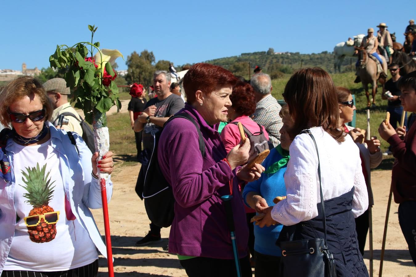 Romeros, carrozas y caballistas han acompañado, esta mañana, en procesión, al Simpecado de Nuestra Señora de Aguasantas, Patrona de Jerez de los Caballeros, hasta la ermita consagrada a su nombre. Durante el camino, no han faltado las perrunillas, la copa de anís, el acompañamiento musical del tamborilero de la Hermandad de La Algaba, Ramón Barragán, y los cánticos y bailes de algunos romeros. Un día de júbilo, convivencia y devoción a Nuestra Señora de Aguasantas que culminará, esta tarde, a las 20 horas, con el rezo del Santo Rosario en la citada ermita y el canto de la Salve a la Virgen.