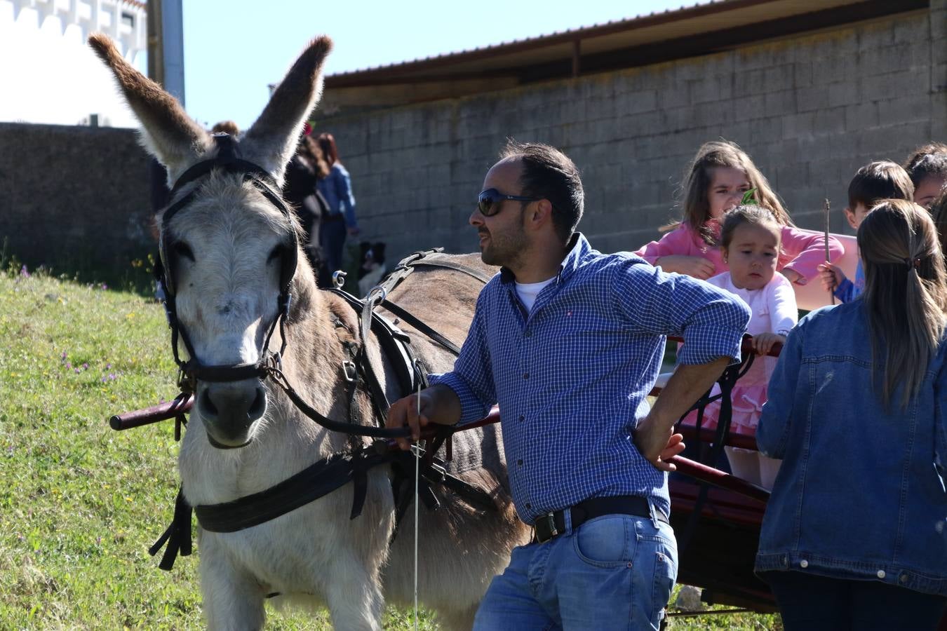 Romeros, carrozas y caballistas han acompañado, esta mañana, en procesión, al Simpecado de Nuestra Señora de Aguasantas, Patrona de Jerez de los Caballeros, hasta la ermita consagrada a su nombre. Durante el camino, no han faltado las perrunillas, la copa de anís, el acompañamiento musical del tamborilero de la Hermandad de La Algaba, Ramón Barragán, y los cánticos y bailes de algunos romeros. Un día de júbilo, convivencia y devoción a Nuestra Señora de Aguasantas que culminará, esta tarde, a las 20 horas, con el rezo del Santo Rosario en la citada ermita y el canto de la Salve a la Virgen.
