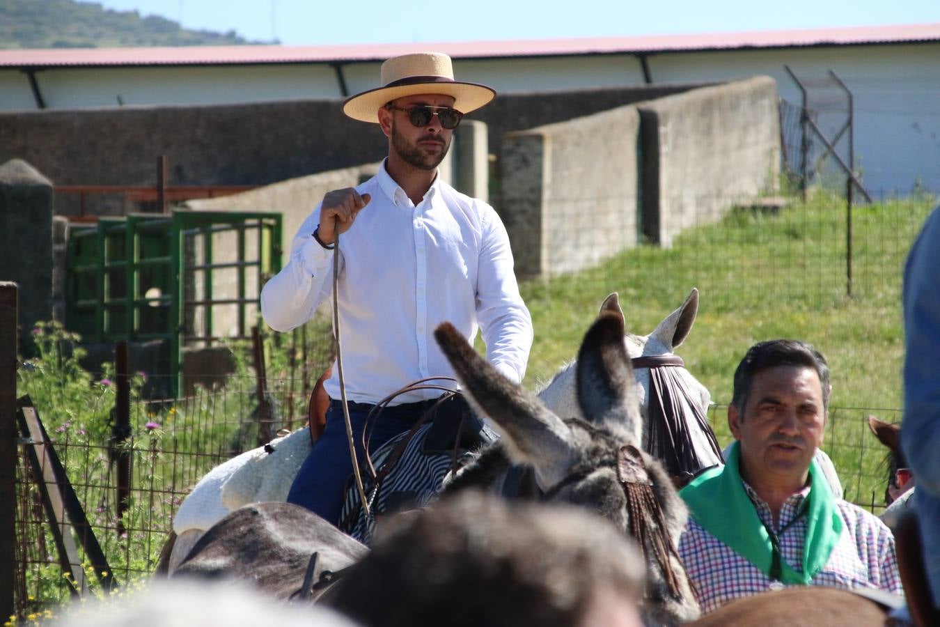 Romeros, carrozas y caballistas han acompañado, esta mañana, en procesión, al Simpecado de Nuestra Señora de Aguasantas, Patrona de Jerez de los Caballeros, hasta la ermita consagrada a su nombre. Durante el camino, no han faltado las perrunillas, la copa de anís, el acompañamiento musical del tamborilero de la Hermandad de La Algaba, Ramón Barragán, y los cánticos y bailes de algunos romeros. Un día de júbilo, convivencia y devoción a Nuestra Señora de Aguasantas que culminará, esta tarde, a las 20 horas, con el rezo del Santo Rosario en la citada ermita y el canto de la Salve a la Virgen.