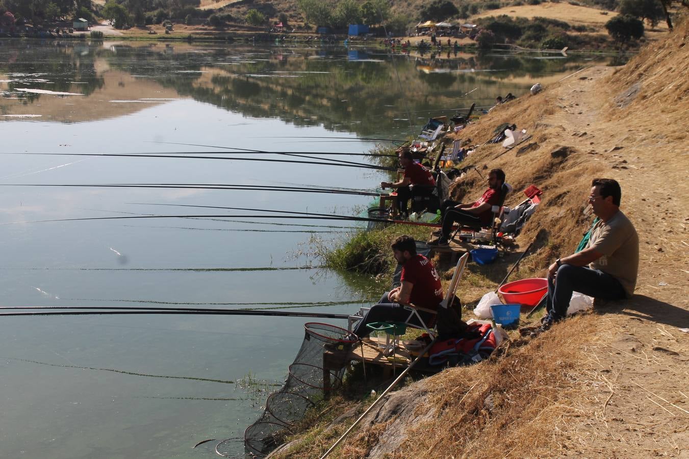Buen ambiente pero pocas tencas en el 301 aniversario del Concurso tradicional de Pesca 'Charca de la Albuera' que se ha celebrado este domingo 2 de junio en el enclave natural del que toma su nombre. esta cita organizada por la Sociedad de Pesca Balboa. Francisco Pérez Caballo con una captura de 11.380 gramos ha sido el ganador de esta edición. 