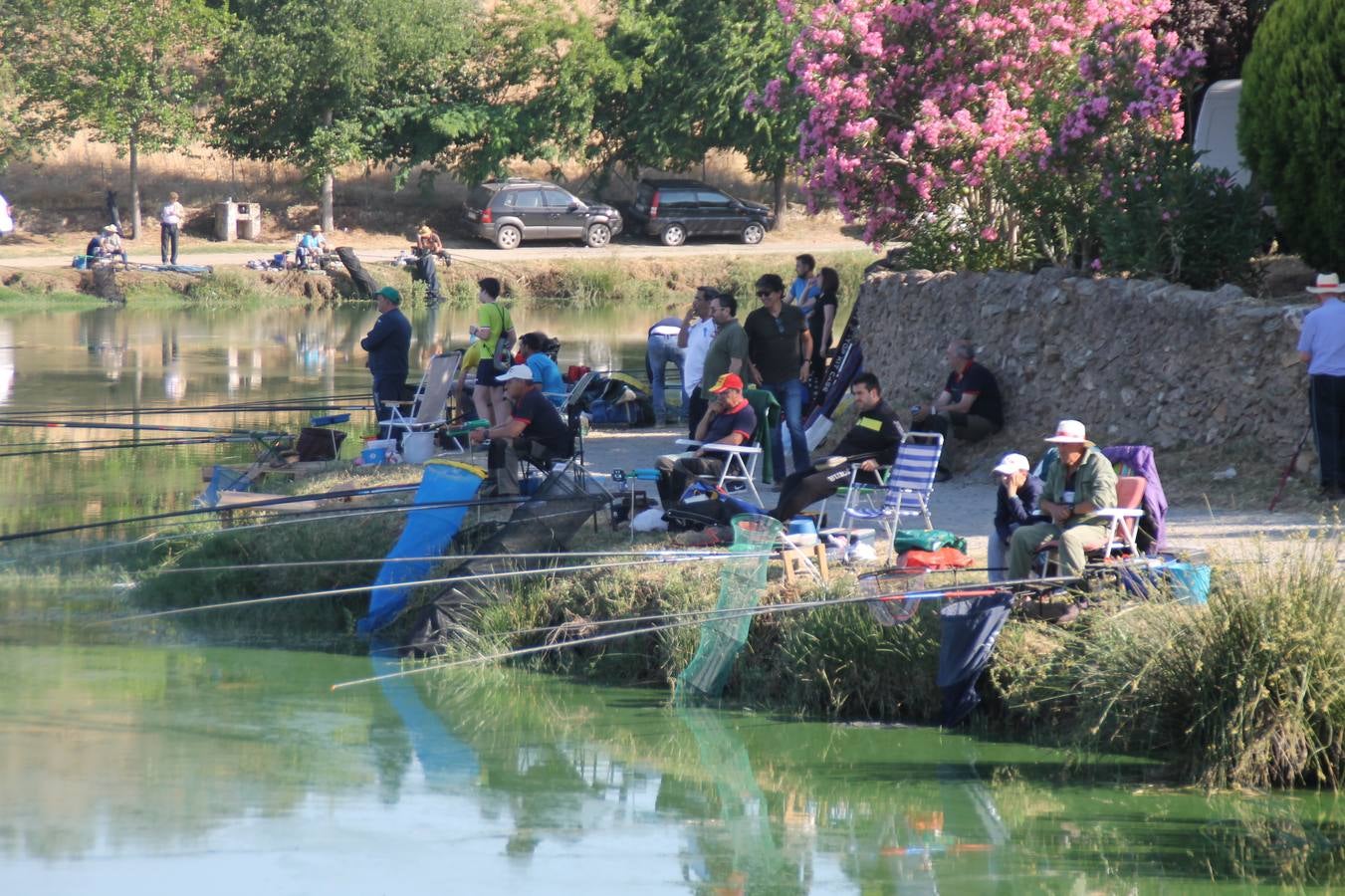 Buen ambiente pero pocas tencas en el 301 aniversario del Concurso tradicional de Pesca 'Charca de la Albuera' que se ha celebrado este domingo 2 de junio en el enclave natural del que toma su nombre. esta cita organizada por la Sociedad de Pesca Balboa. Francisco Pérez Caballo con una captura de 11.380 gramos ha sido el ganador de esta edición. 