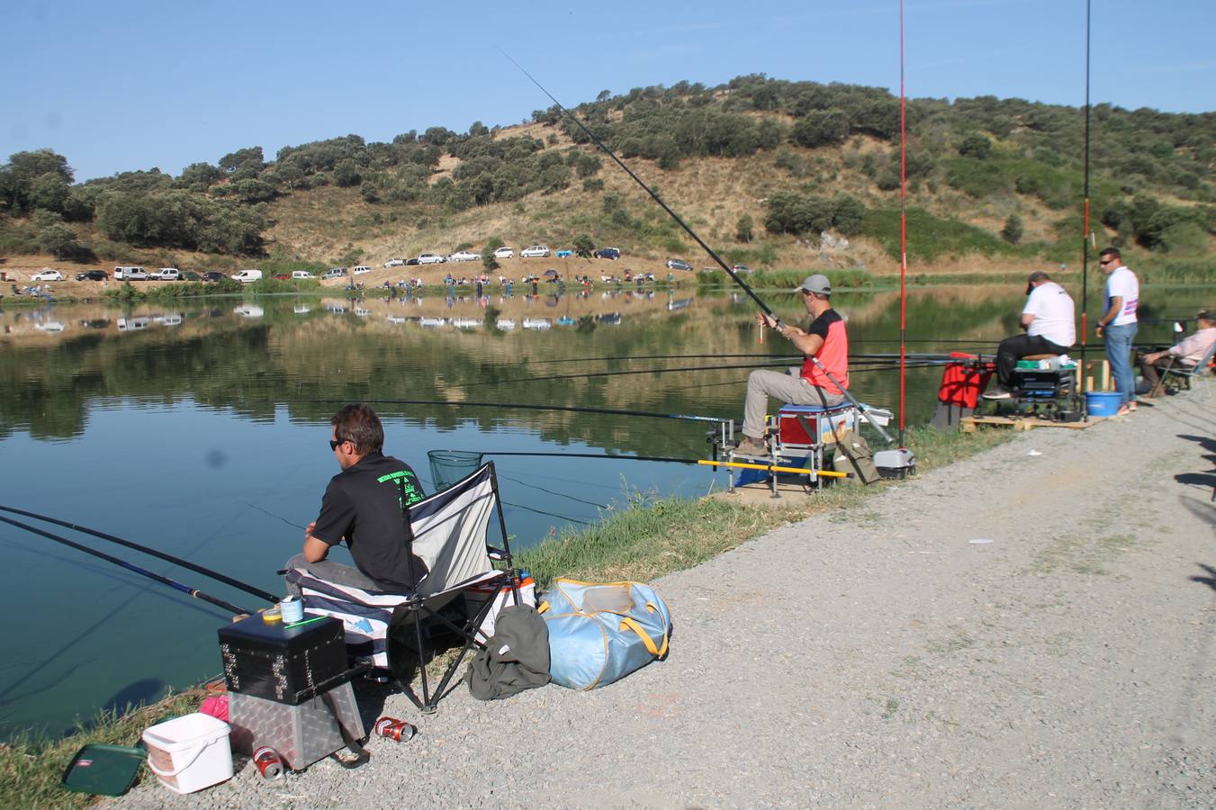 Francisco Pérez Caballo ha sido el ganador, este domingo, del tradicional Concurso de Pesca 'Charca de la Albuera' que este año 2019 ha alcanzado su 301 aniversario. Pérez ha logrado una peso total de captura de tencas de 11'380 kilogramos, casi una proeza teniendo en cuenta la dificultad de la mayoría de los cerca de 200 participantes que se han dado cita en este evento, para pescar la especie protagonista del mismo. José Antonio Flores Matamoros ha sido el segundo clasificado y primero de la zona C con 10`180 kilos de tenca; el tercer puesto y primero de la zona B ha sido para Juan José Sánchez Garrido con un peso de 4`980 kilos y el cuarto y primero de la zona A ha sido Antonio Galván Guerrero con una captura de poco más de 3 kilos de tencas.