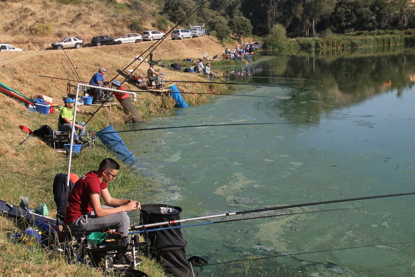 Francisco Pérez Caballo ha sido el ganador, este domingo, del tradicional Concurso de Pesca 'Charca de la Albuera' que este año 2019 ha alcanzado su 301 aniversario. Pérez ha logrado una peso total de captura de tencas de 11'380 kilogramos, casi una proeza teniendo en cuenta la dificultad de la mayoría de los cerca de 200 participantes que se han dado cita en este evento, para pescar la especie protagonista del mismo. José Antonio Flores Matamoros ha sido el segundo clasificado y primero de la zona C con 10`180 kilos de tenca; el tercer puesto y primero de la zona B ha sido para Juan José Sánchez Garrido con un peso de 4`980 kilos y el cuarto y primero de la zona A ha sido Antonio Galván Guerrero con una captura de poco más de 3 kilos de tencas.