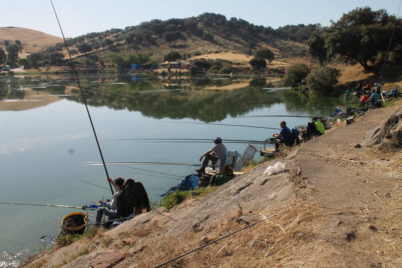 Francisco Pérez Caballo ha sido el ganador, este domingo, del tradicional Concurso de Pesca 'Charca de la Albuera' que este año 2019 ha alcanzado su 301 aniversario. Pérez ha logrado una peso total de captura de tencas de 11'380 kilogramos, casi una proeza teniendo en cuenta la dificultad de la mayoría de los cerca de 200 participantes que se han dado cita en este evento, para pescar la especie protagonista del mismo. José Antonio Flores Matamoros ha sido el segundo clasificado y primero de la zona C con 10`180 kilos de tenca; el tercer puesto y primero de la zona B ha sido para Juan José Sánchez Garrido con un peso de 4`980 kilos y el cuarto y primero de la zona A ha sido Antonio Galván Guerrero con una captura de poco más de 3 kilos de tencas.