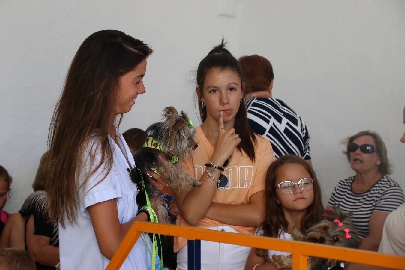 El popular barrio de 'San Roque' ha acogido, esta mañana, la primera jornada de su tradicional «velá». La cita ha comenzado con el despertar del barrio con repiques de campana y ha continuado con la tradicional ceremonia de la bendición de animales, los juegos infantiles, una gran tómbola y la fiesta de la espuma. 