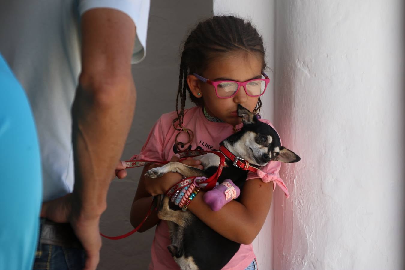 El popular barrio de 'San Roque' ha acogido, esta mañana, la primera jornada de su tradicional «velá». La cita ha comenzado con el despertar del barrio con repiques de campana y ha continuado con la tradicional ceremonia de la bendición de animales, los juegos infantiles, una gran tómbola y la fiesta de la espuma. 