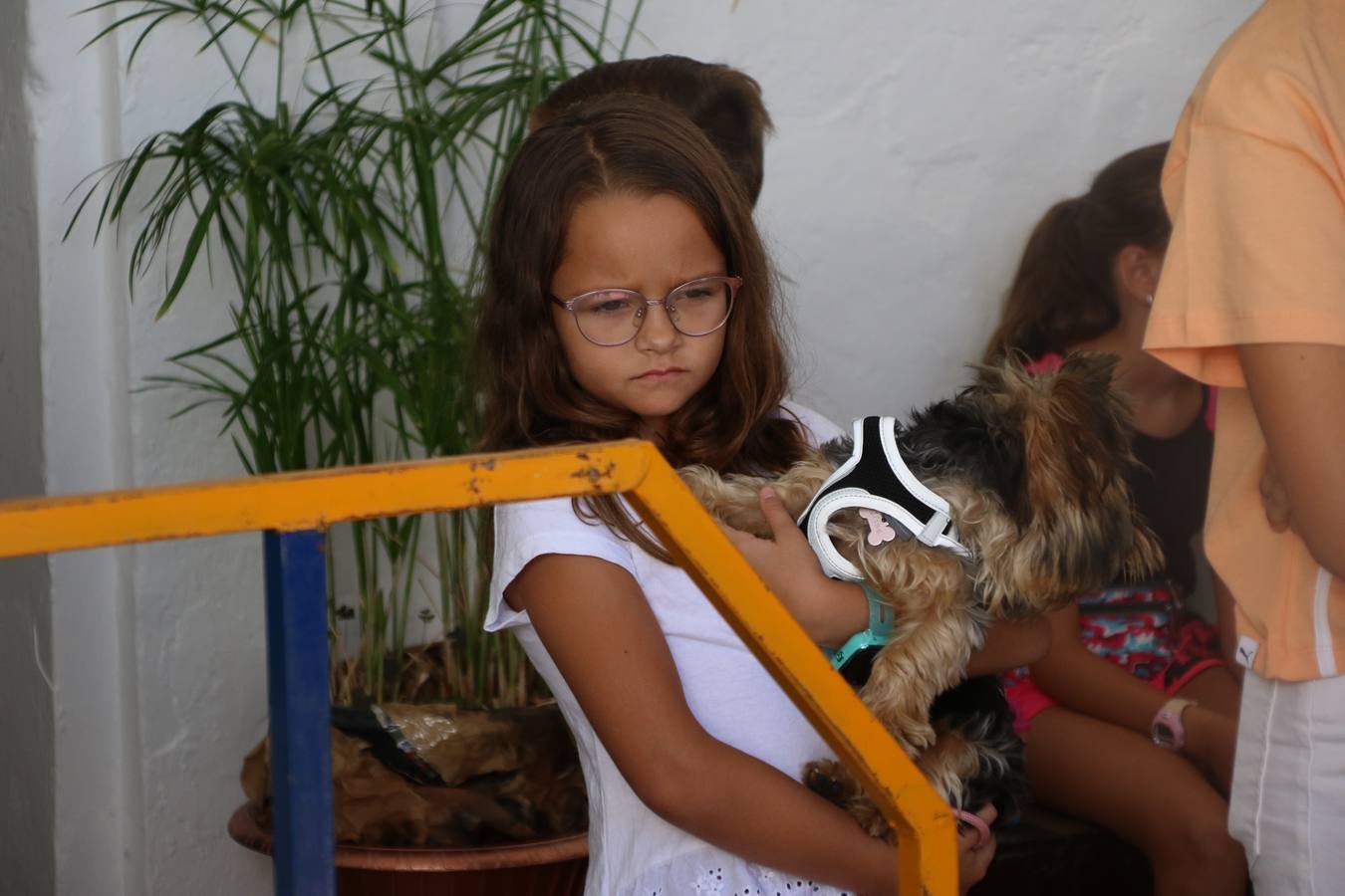 El popular barrio de 'San Roque' ha acogido, esta mañana, la primera jornada de su tradicional «velá». La cita ha comenzado con el despertar del barrio con repiques de campana y ha continuado con la tradicional ceremonia de la bendición de animales, los juegos infantiles, una gran tómbola y la fiesta de la espuma. 