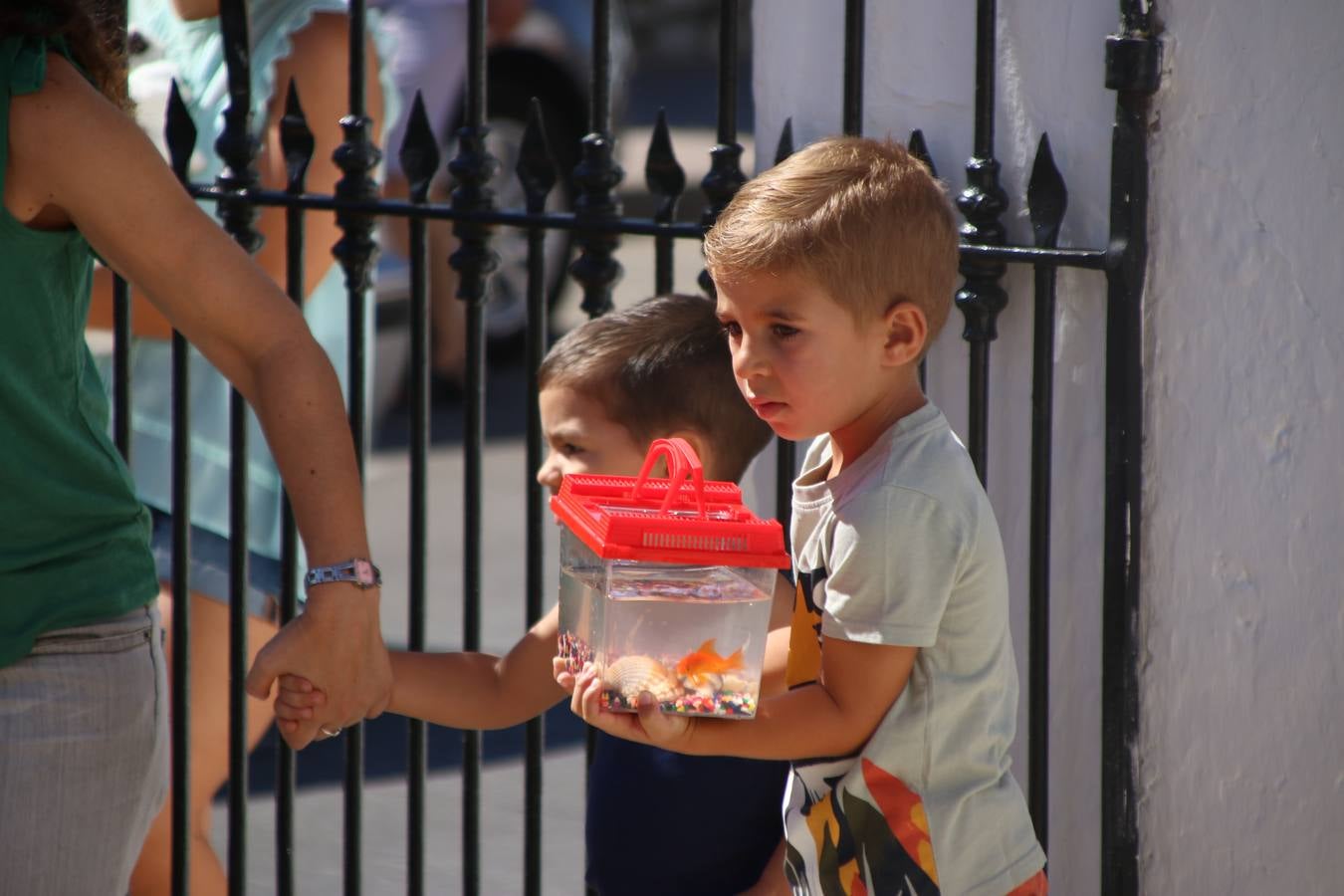 El popular barrio de 'San Roque' ha acogido, esta mañana, la primera jornada de su tradicional «velá». La cita ha comenzado con el despertar del barrio con repiques de campana y ha continuado con la tradicional ceremonia de la bendición de animales, los juegos infantiles, una gran tómbola y la fiesta de la espuma. 