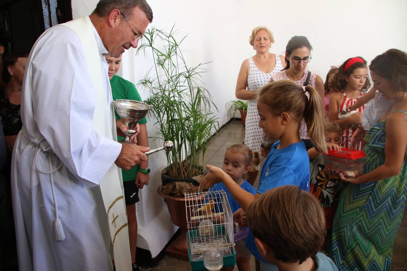 El popular barrio de 'San Roque' ha acogido, esta mañana, la primera jornada de su tradicional «velá». La cita ha comenzado con el despertar del barrio con repiques de campana y ha continuado con la tradicional ceremonia de la bendición de animales, los juegos infantiles, una gran tómbola y la fiesta de la espuma. 