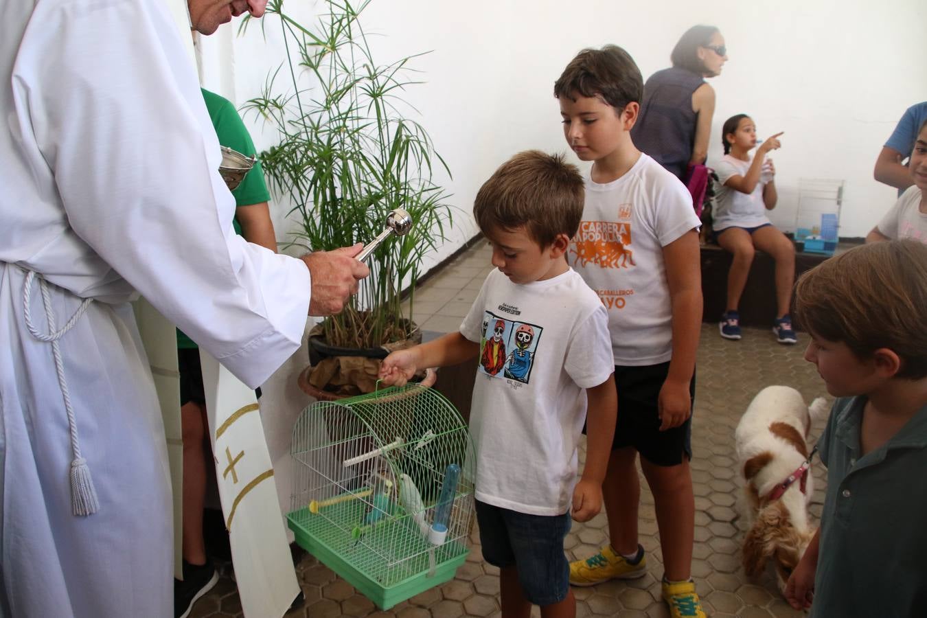 El popular barrio de 'San Roque' ha acogido, esta mañana, la primera jornada de su tradicional «velá». La cita ha comenzado con el despertar del barrio con repiques de campana y ha continuado con la tradicional ceremonia de la bendición de animales, los juegos infantiles, una gran tómbola y la fiesta de la espuma. 