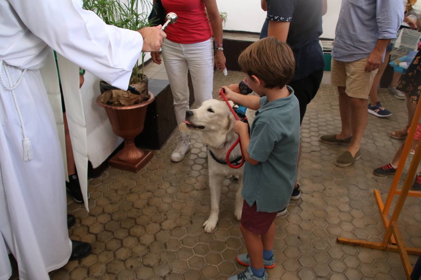 El popular barrio de 'San Roque' ha acogido, esta mañana, la primera jornada de su tradicional «velá». La cita ha comenzado con el despertar del barrio con repiques de campana y ha continuado con la tradicional ceremonia de la bendición de animales, los juegos infantiles, una gran tómbola y la fiesta de la espuma. 