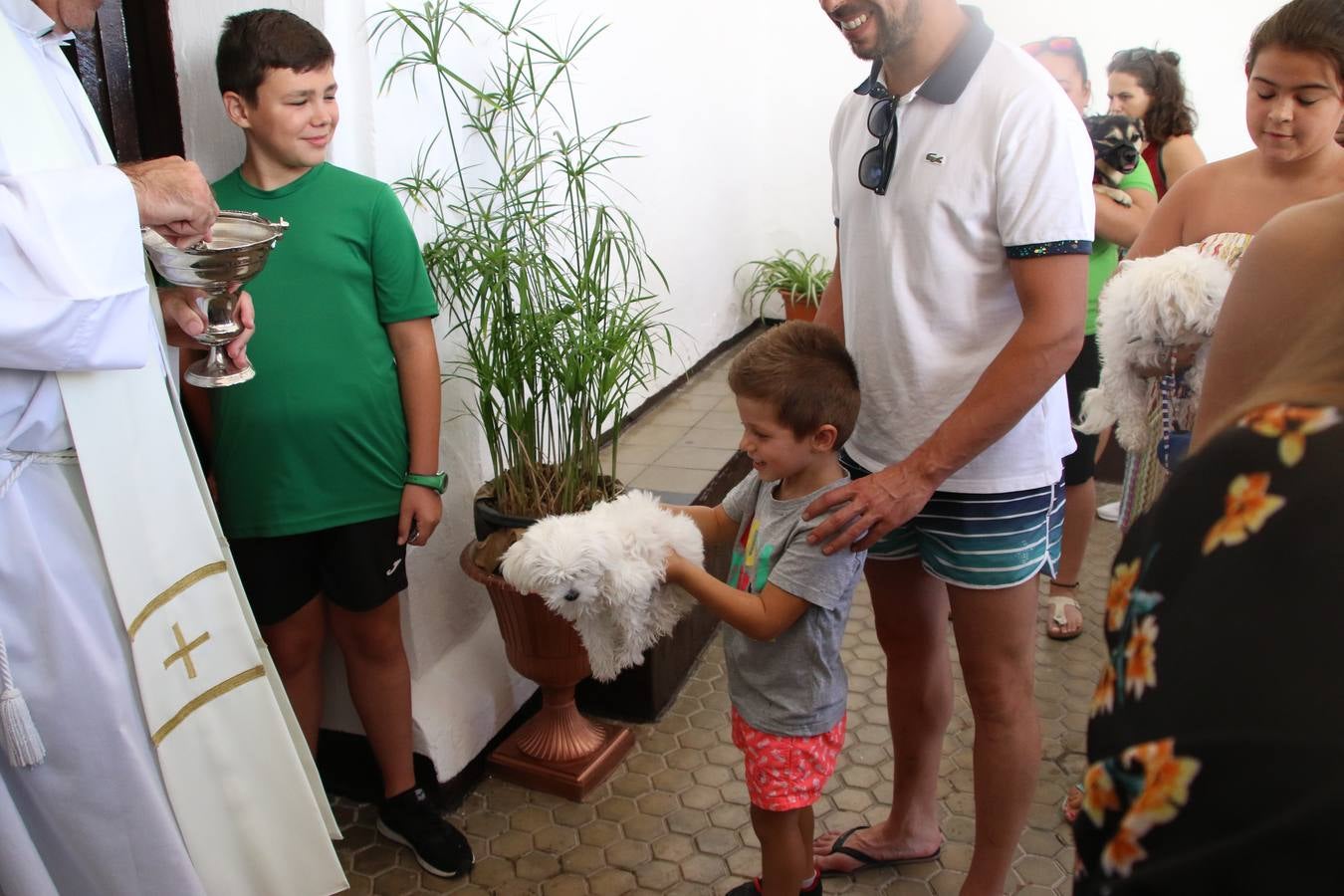 El popular barrio de 'San Roque' ha acogido, esta mañana, la primera jornada de su tradicional «velá». La cita ha comenzado con el despertar del barrio con repiques de campana y ha continuado con la tradicional ceremonia de la bendición de animales, los juegos infantiles, una gran tómbola y la fiesta de la espuma. 