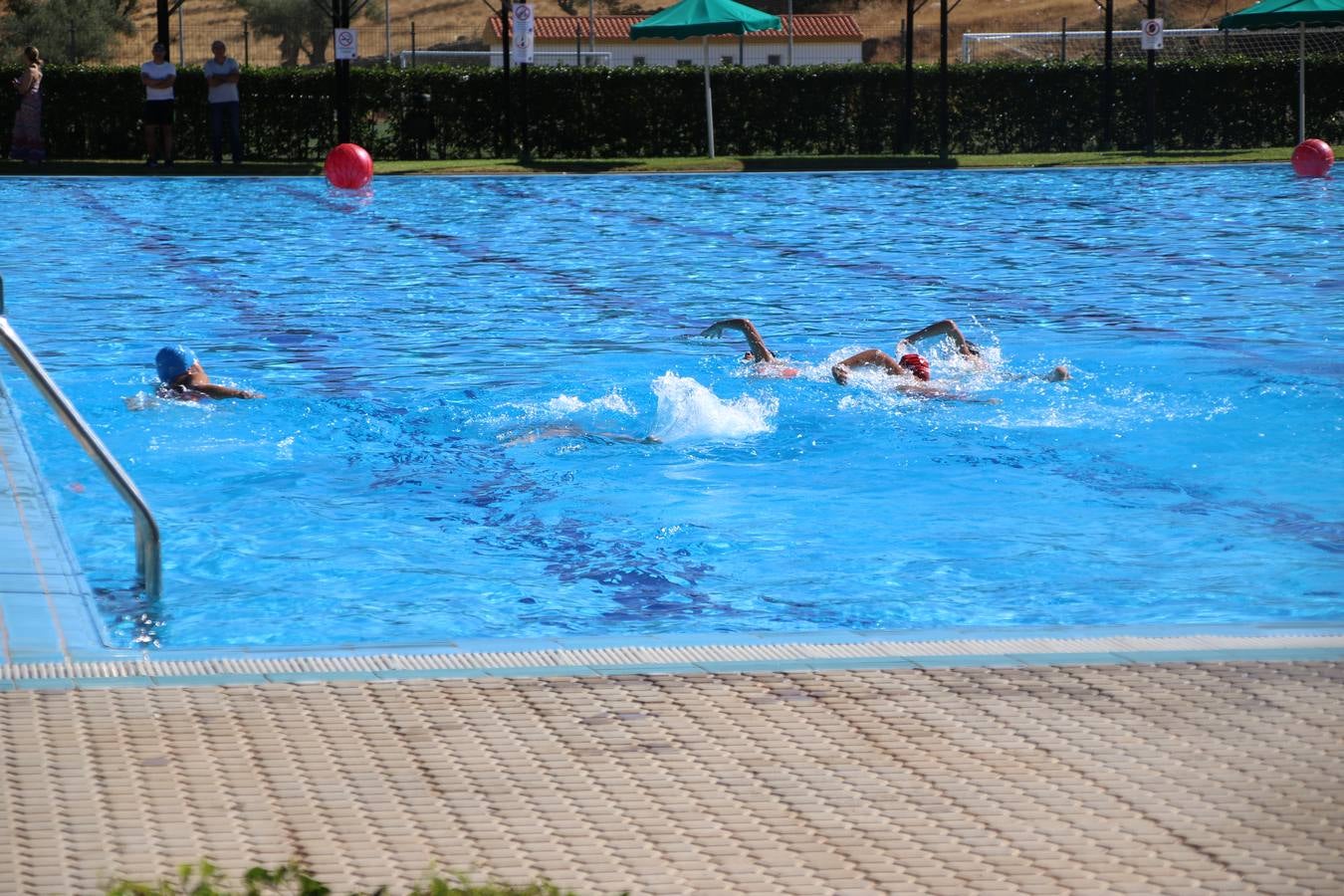 Jerez de los Caballeros ha acogido, esta mañana, la segunda edición del Acuatlón Popular 'Fiestas de San Bartolomé', organizado por la Pontificia y Real Archicofradía del Santísimo Sacramento con la colaboración del Ayuntamiento, el Plan de Dinamización Deportiva de la Mancomunidad Sierra Suroeste, Cruz Roja y diferentes casas comerciales del municipio. El acuatlón ha constado de dos pruebas (natación y atletismo); se ha desarrollado en las instalaciones de la piscina municipal y ciudad deportiva 'Manuel Calzado Galván', y ha contado con la participación de unos 48 inscritos, «la valoración que hacemos es muy positiva porque ha aumentado el número de inscritos y se ha conseguido una participación infantil que es una novedad este año. Los deportistas han acabado contentos y con ganas de repetir, por lo que es una satisfacción para nosotros», señala Álvaro Crespo, miembro de la junta de gobierno de la citada Archicofradía.