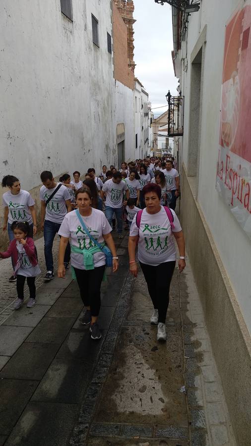 'Contra viento y marea' en sentido figurado, y contra la lluvia y los nubarrones, de manera real, La lucha contra el cáncer se impuso ayer en Jerez de los Caballeros a un día desapacible y sacó musculo con la celebración de la III Ruta contra esta enfermedad organizada por la junta local de la Asociación Española Contra el Cáncer (AECC) en esta ciudad.