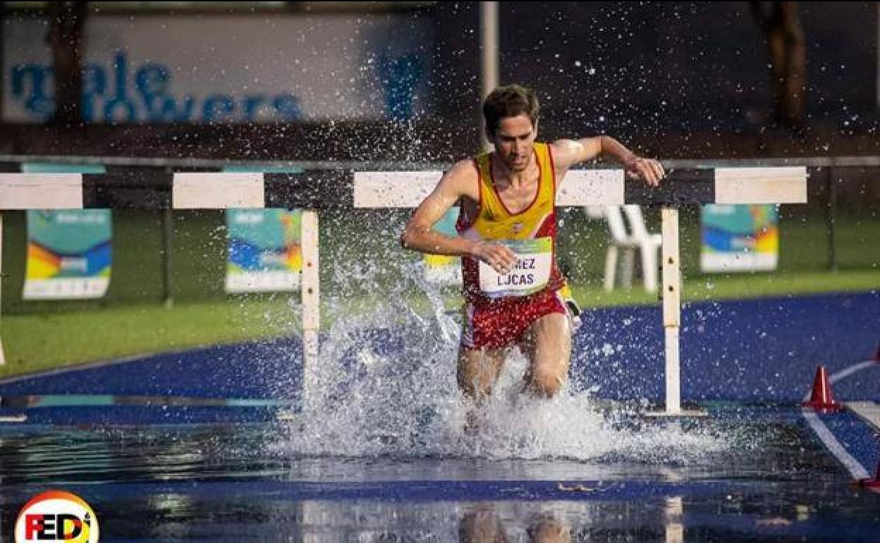 Manuel Gómez Lucas, en la carrera de 3.000 metros obstáculos en Australia dond ha conseguido medalla de bronce.