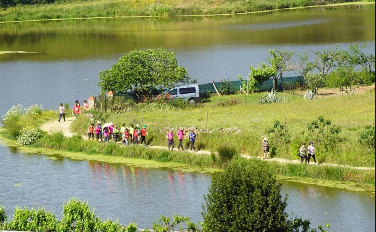 La crisis del COVID-19 sigue tachando eventos tradicionales en el calendario deportivo jerezano