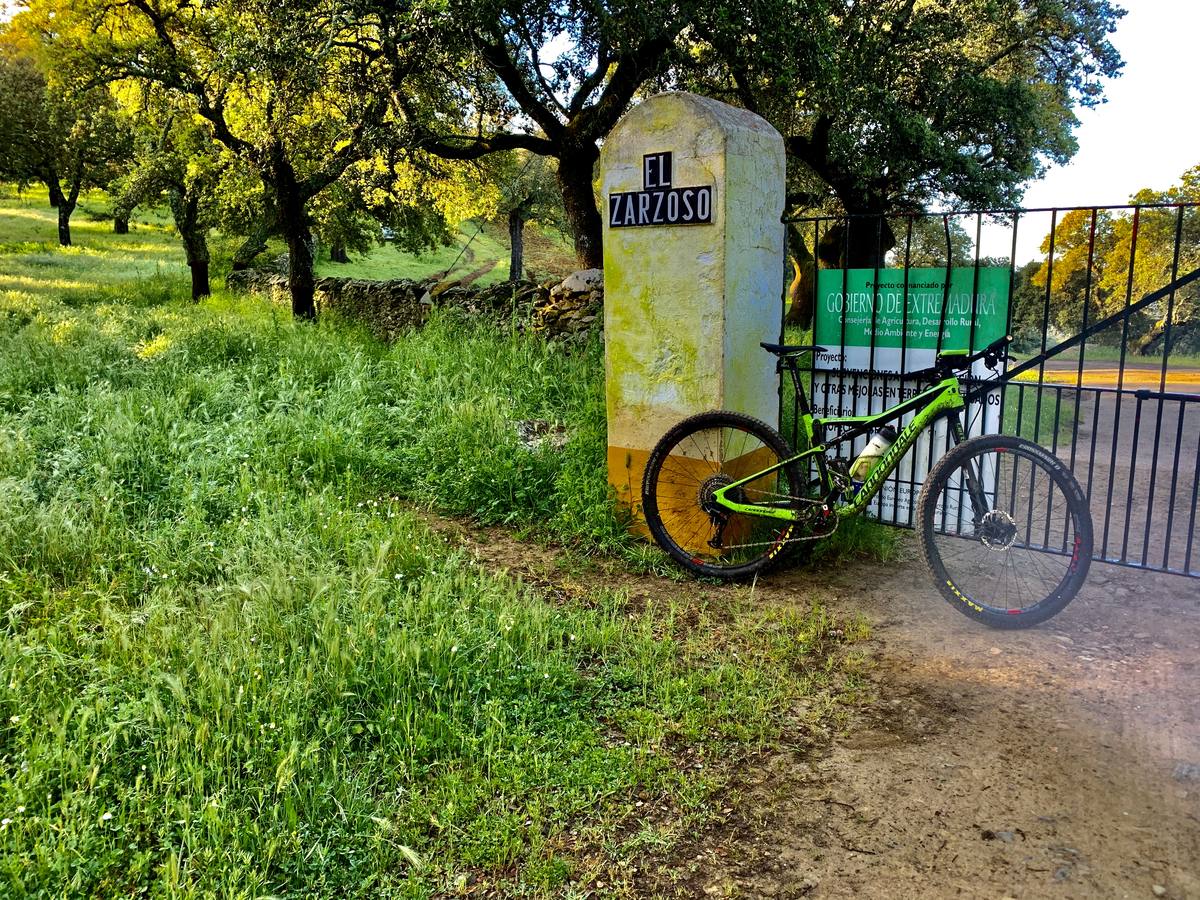 Muchos jerezanos celebraron la posibilidad de hacer deporte al aire libre.