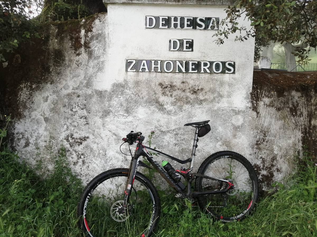 Muchos jerezanos celebraron la posibilidad de hacer deporte al aire libre.