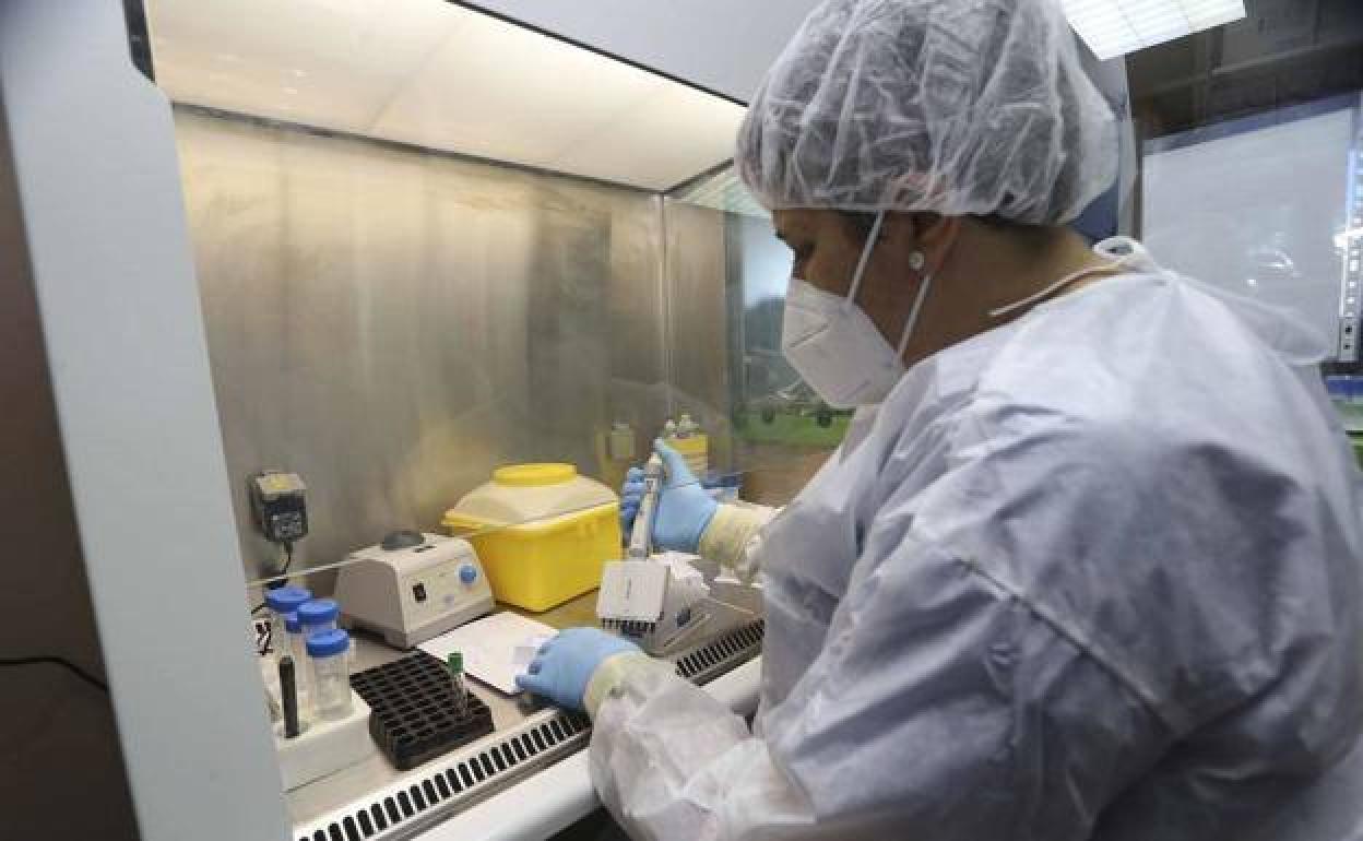 Trabajo de laboratorio en el hospital de Mérida.