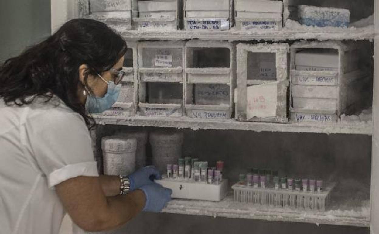 Salud Pública notifica 12 nuevos casos positivos en Jerez y 1 en La Bazana