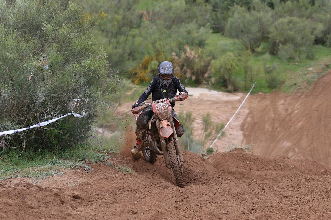 Fotos: Jerez acoge la tercera prueba del Campeonato de España de Cross Country