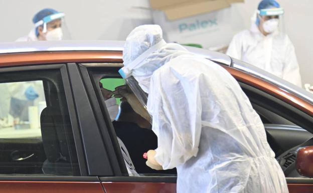 Jerez y sus pedanías registran una jornada sin nuevos positivos por coronavirus
