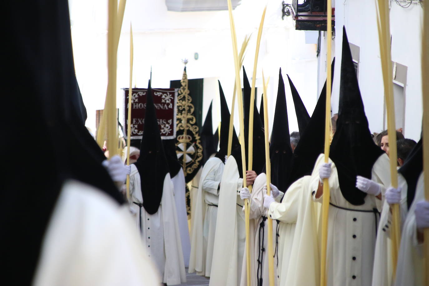 Fotos: Vuelve el fervor a las calles de Jerez de los Caballeros con la llegada de un anhelado Domingo de Ramos
