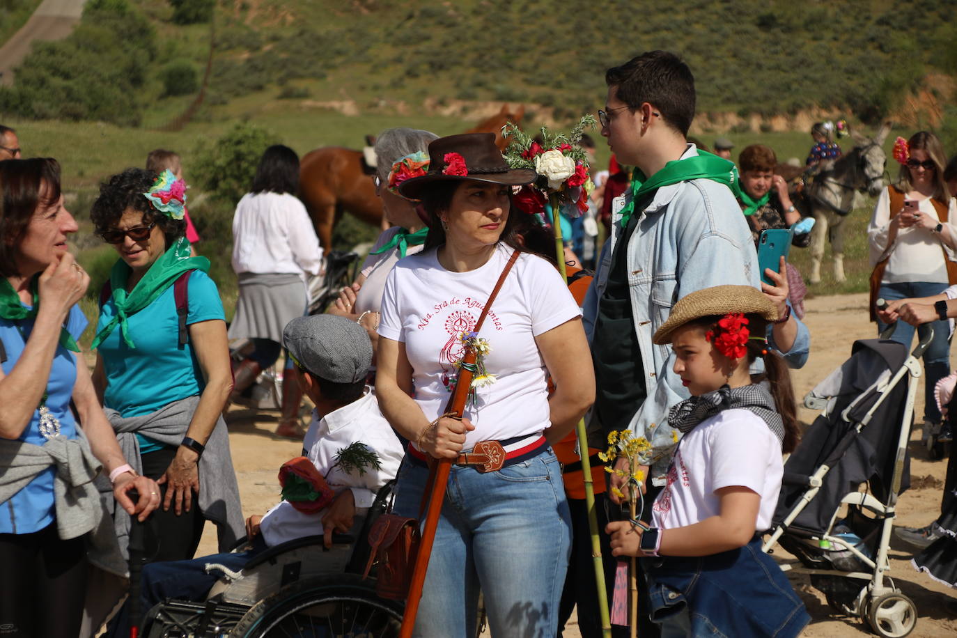 Fotos: Jerez celebra la romería en honor de su Patrona, Nuestra Señora de Aguasantas