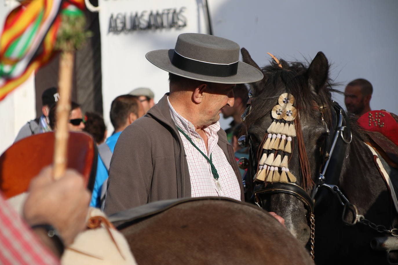Fotos: Jerez celebra la romería en honor de su Patrona, Nuestra Señora de Aguasantas