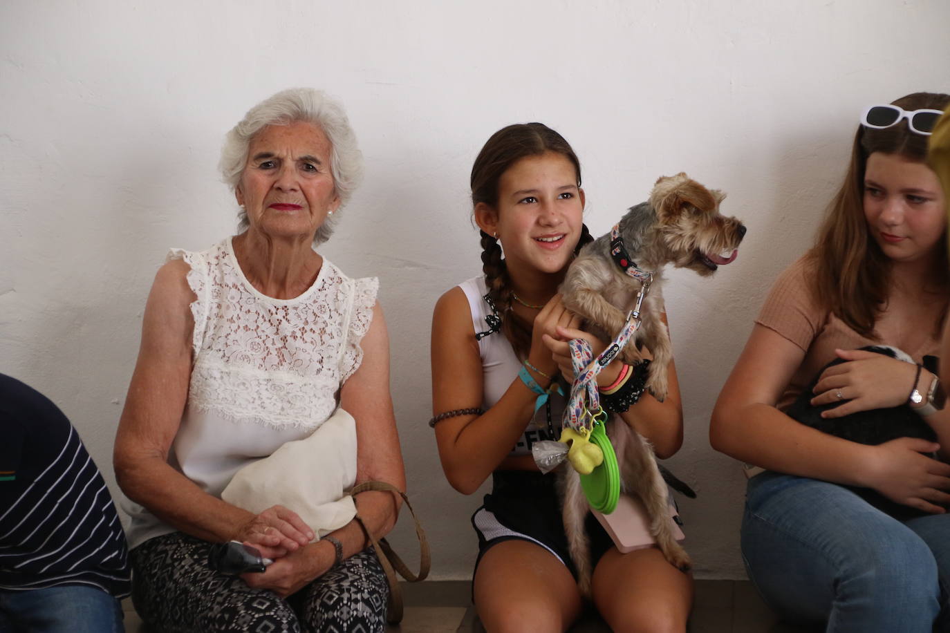 La ermita de San Roque acoge la tradicional bendición de animales