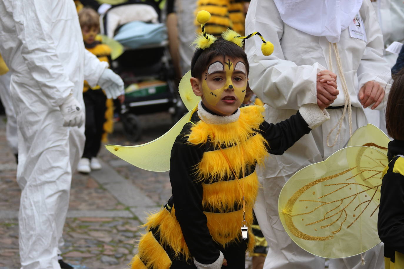 Fotos: Arranca el Carnaval en Jerez de los Caballeros con el desfile de los centros educativos
