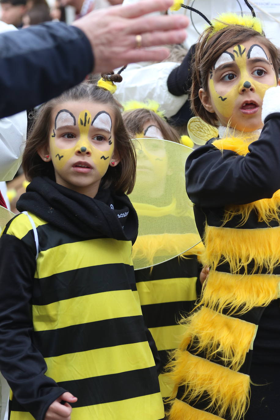 Fotos: Arranca el Carnaval en Jerez de los Caballeros con el desfile de los centros educativos