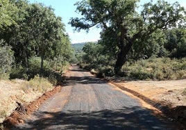 El camino es usado por muchos propietarios que llegan a sus negocios a través del mismo.